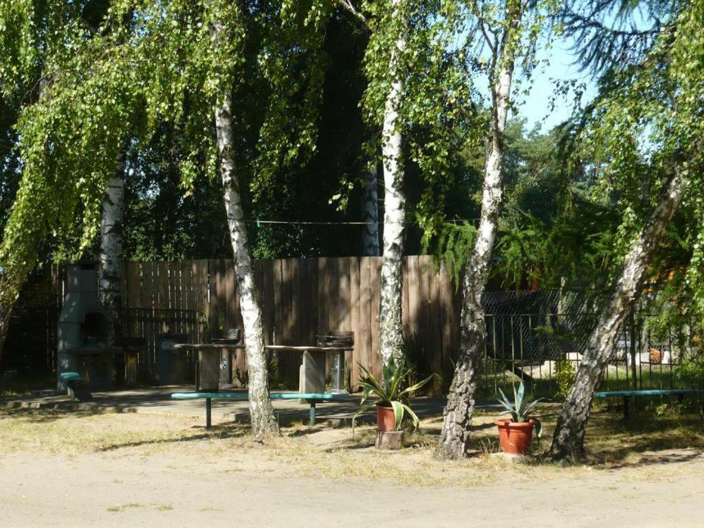 Uns Luett Wohnung Nossentiner Huette Экстерьер фото